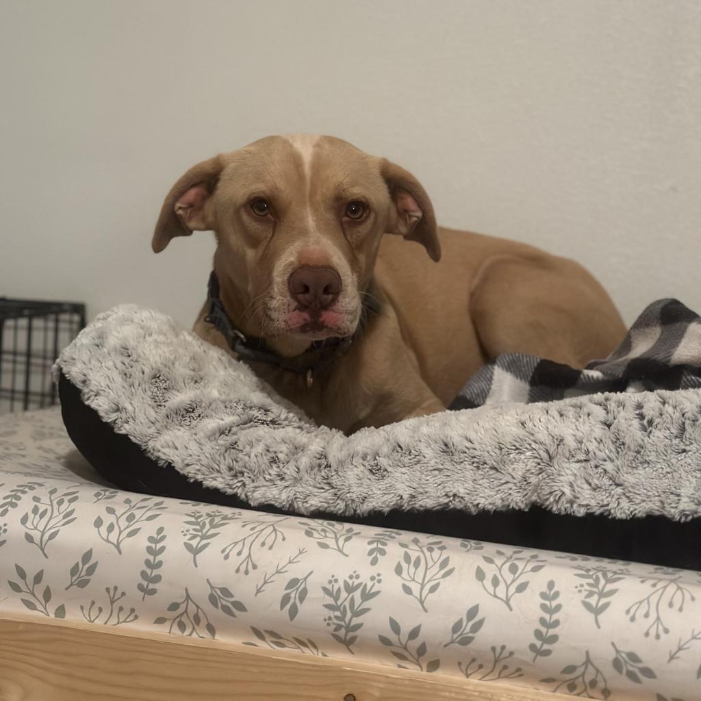 Bodie — thumbnail 2