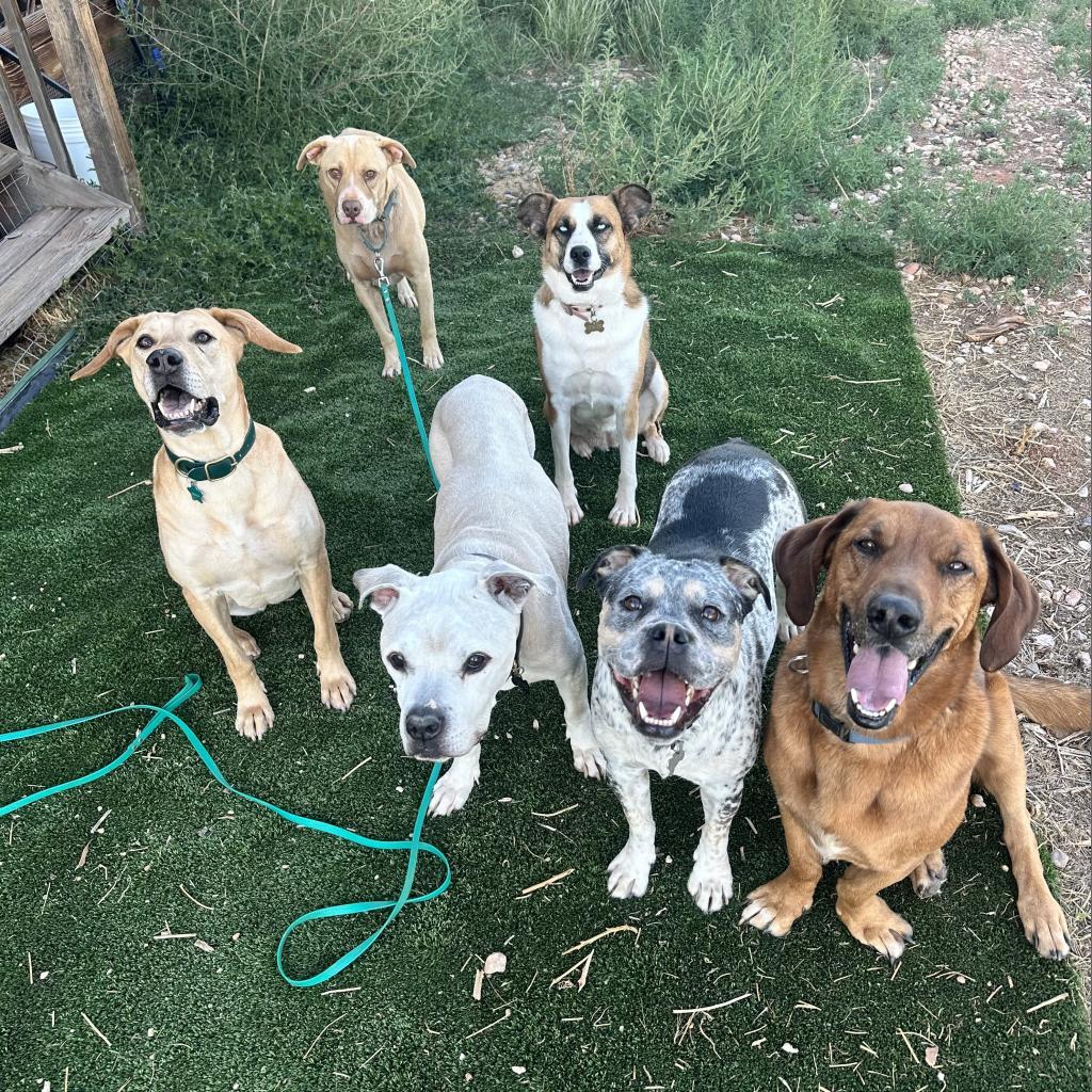 Bodie — thumbnail 3