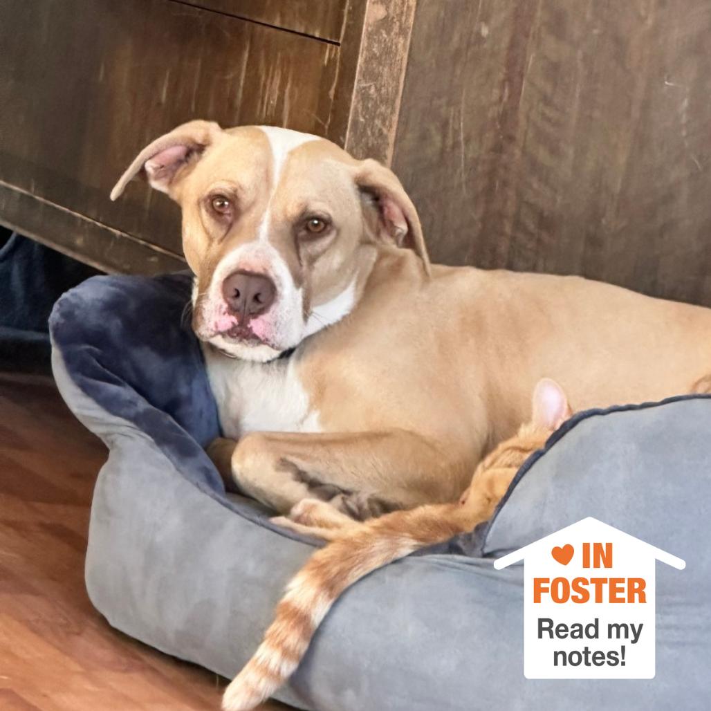 Bodie — thumbnail 5