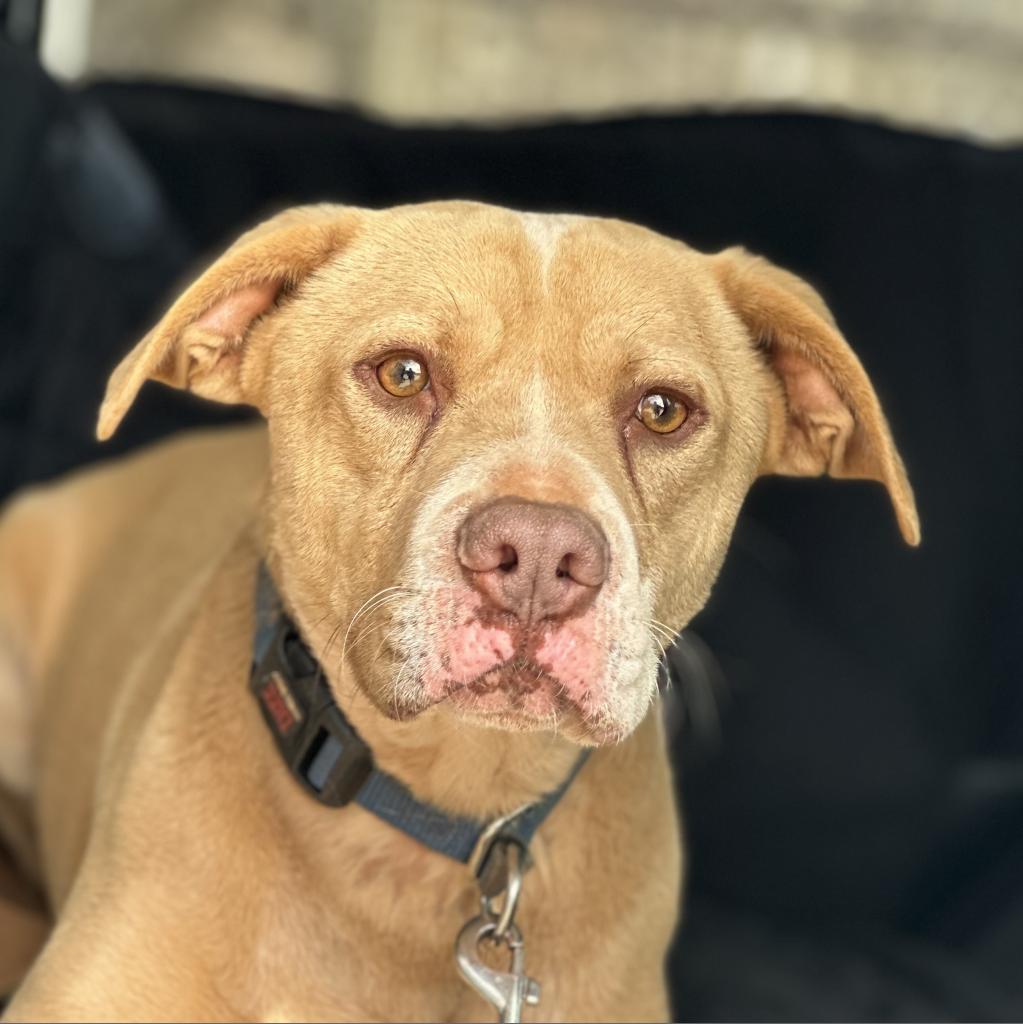 Bodie — thumbnail 6