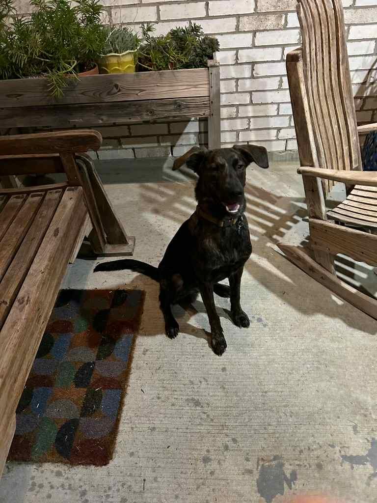 Boudreaux