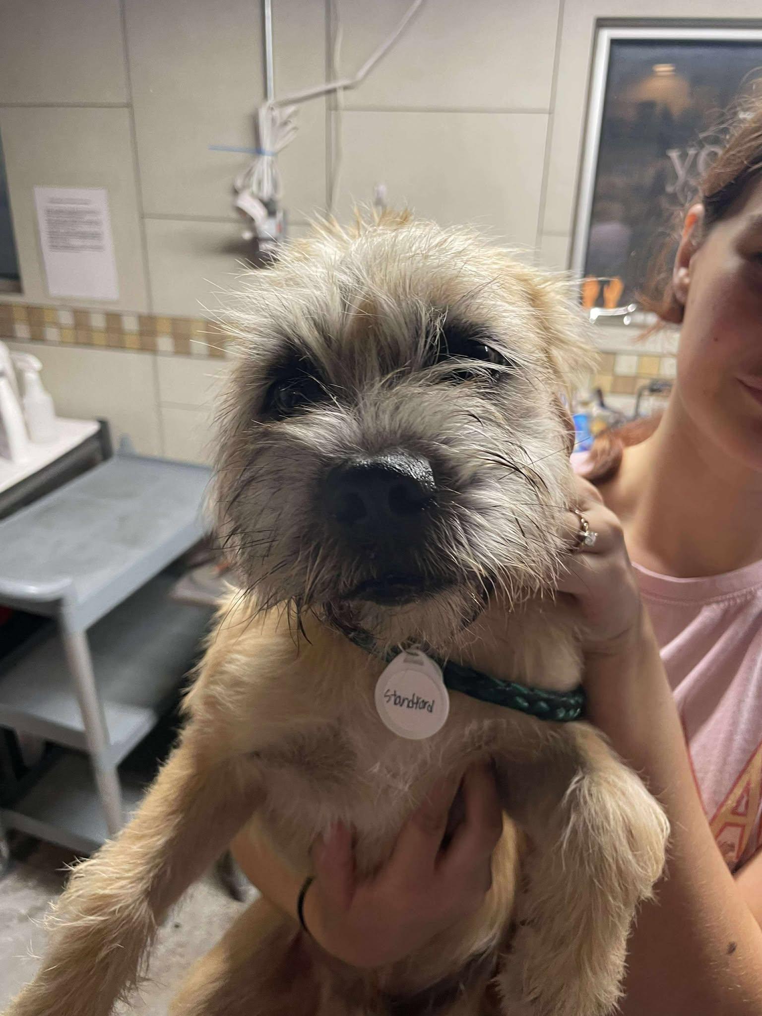 College Kids - Stanford