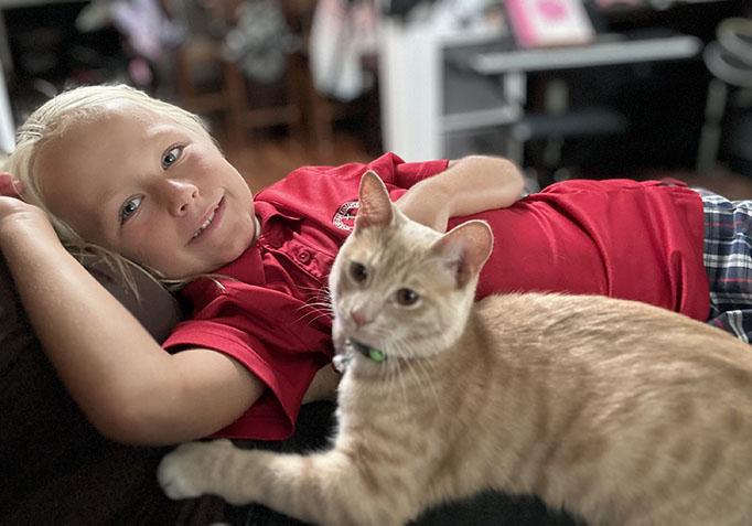 Teddie, a Adopted Domestic Short Hair in Lakeside, CA image 4/6