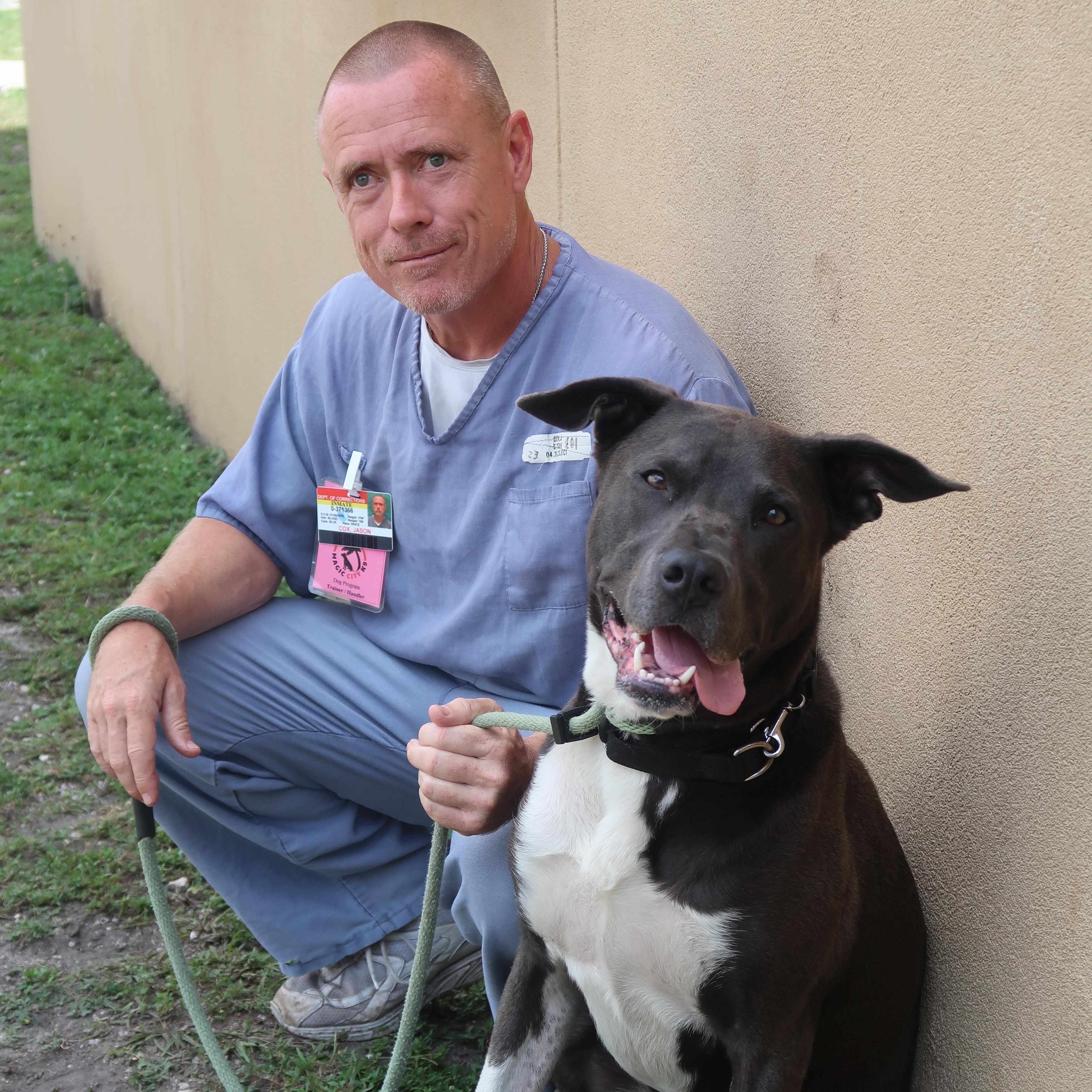 Deuce-TRAINED DOG photo 3