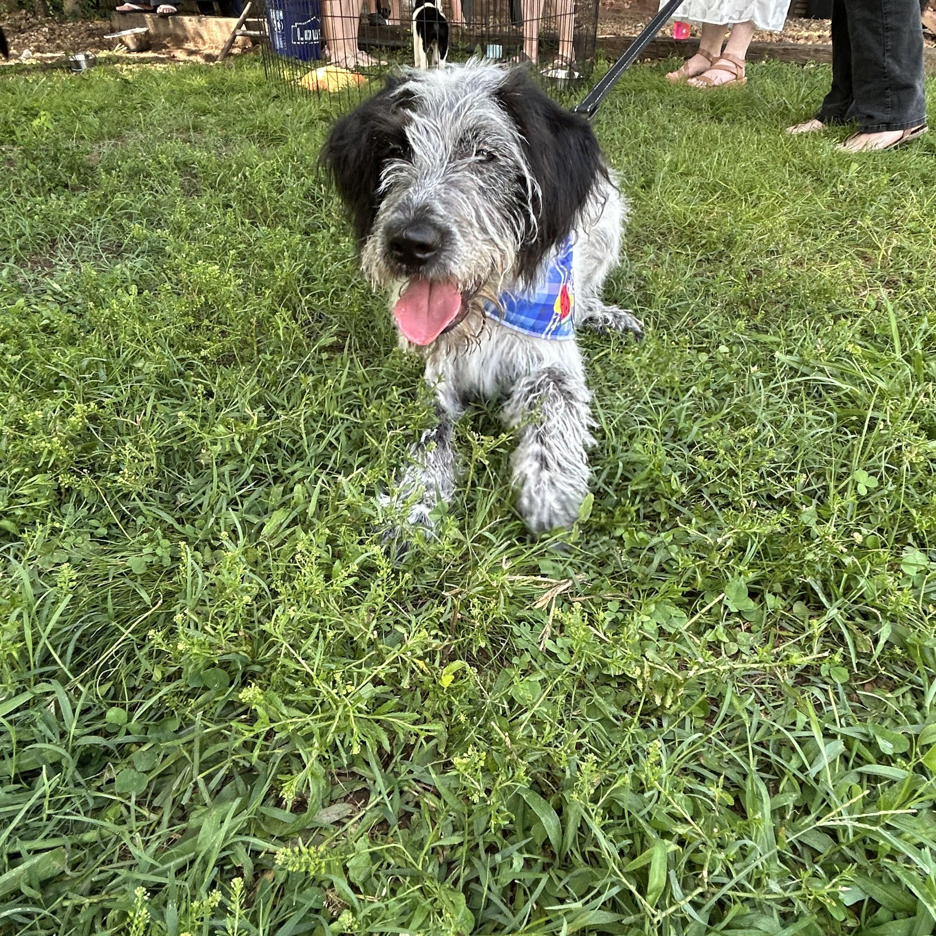 Chipper photo 3