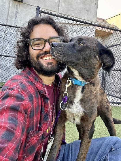 Kars, Adoptable, Adult Male Mixed Breed & Mixed Breed.