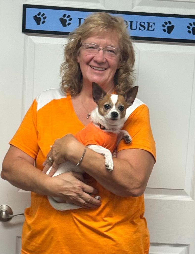 Enlarge SCHROEDER, a Adopted Chihuahua in Crossville, TN image 1/2