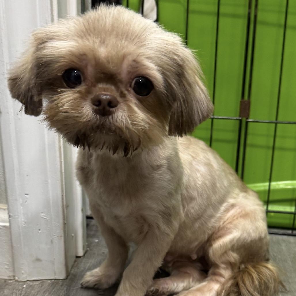 Chrissy — thumbnail 2