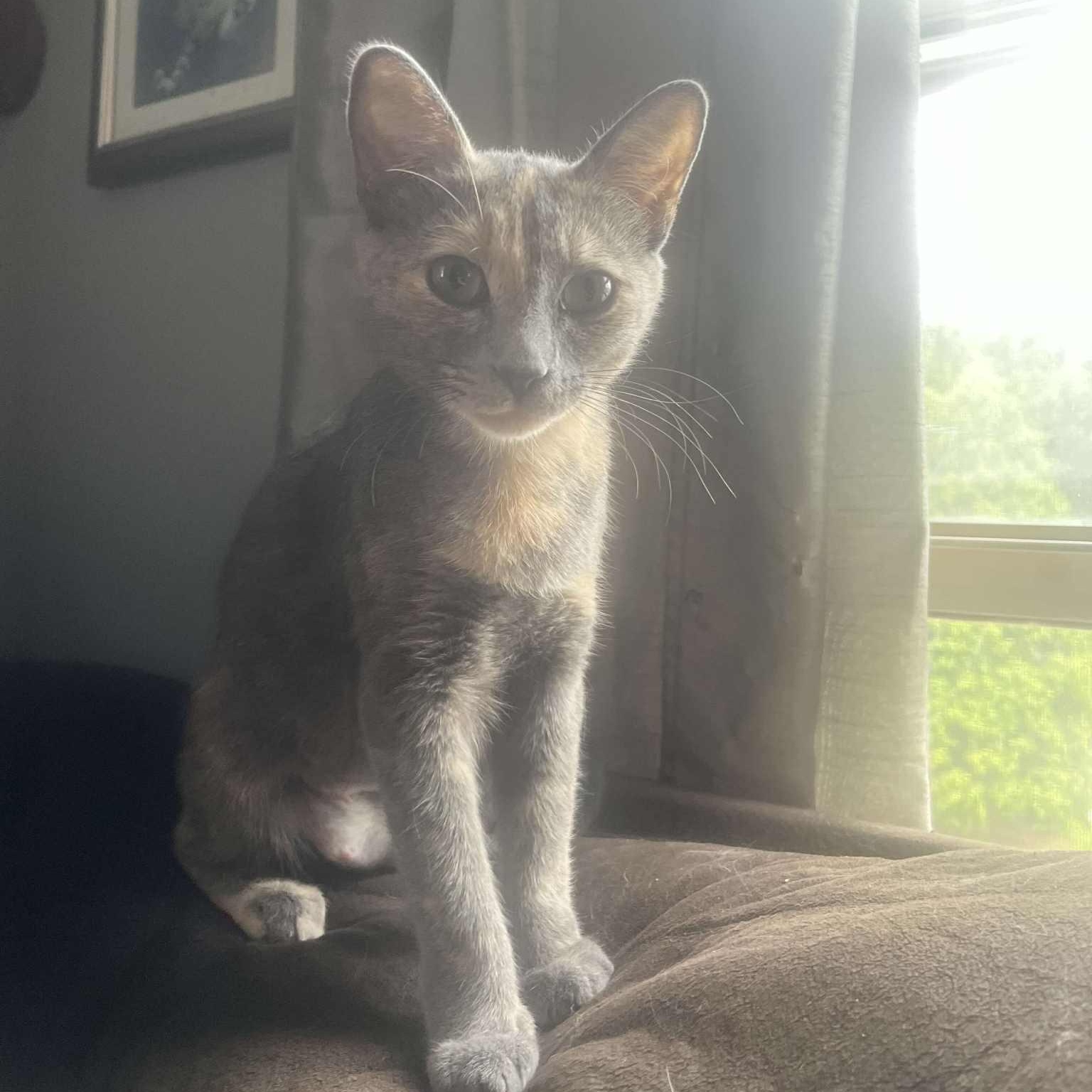 Photo of Audrey