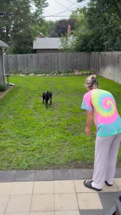 Enlarge Gloria (Rory), a Adoptable Mixed Breed in Oacoma, SD video 3/5