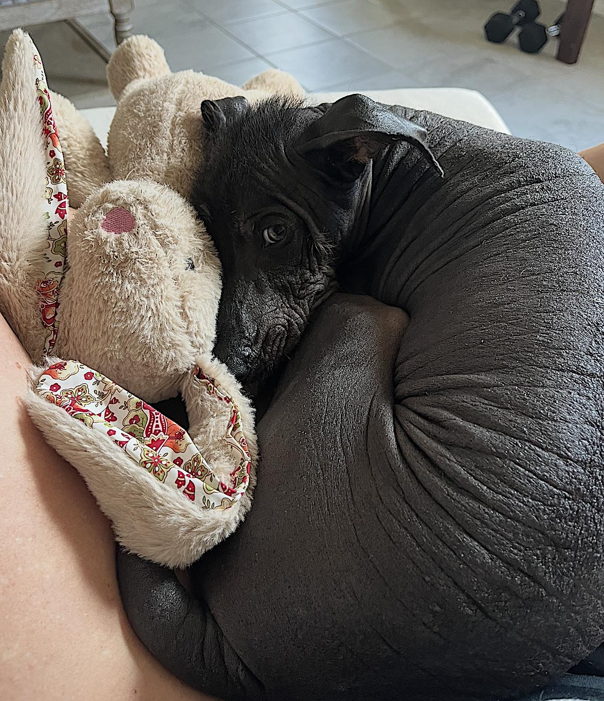 Nacho — thumbnail 4