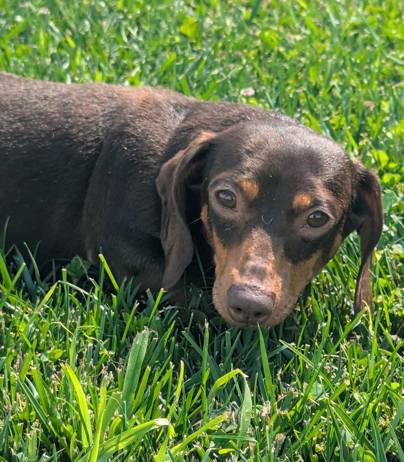 Starla in AR photo 4