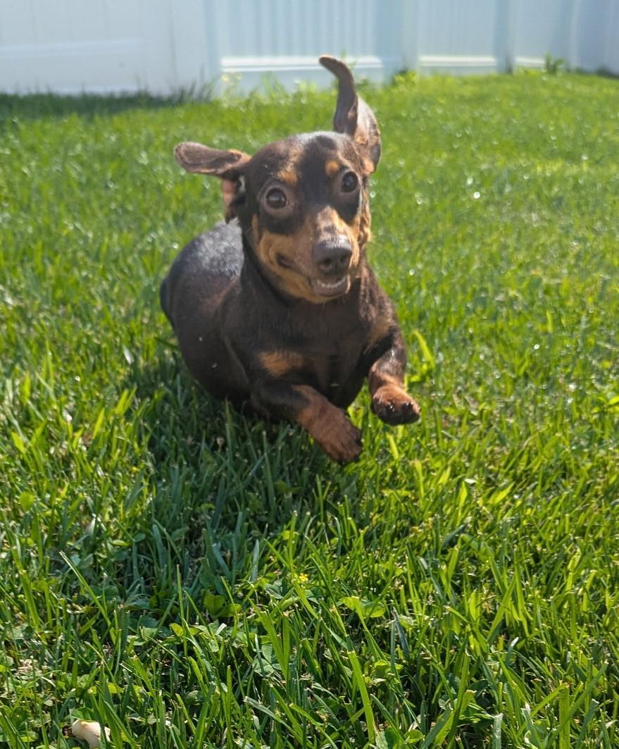 Starla in AR photo 3
