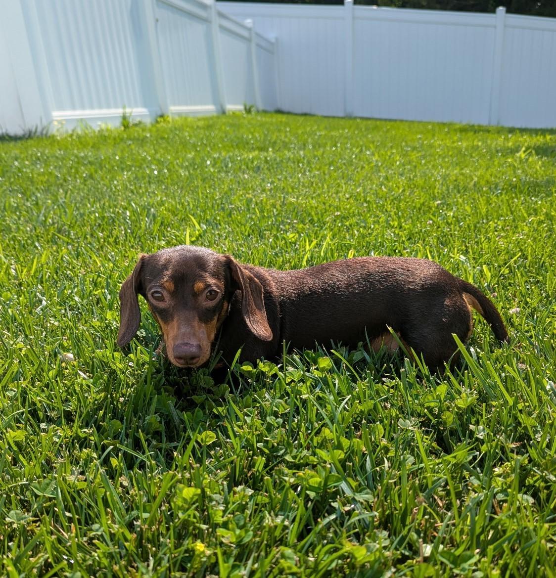 Starla in AR photo 2