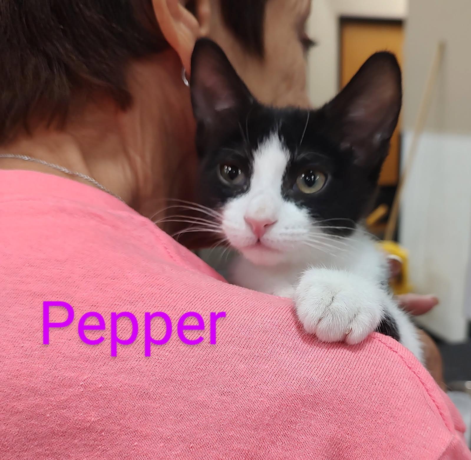 Pepper