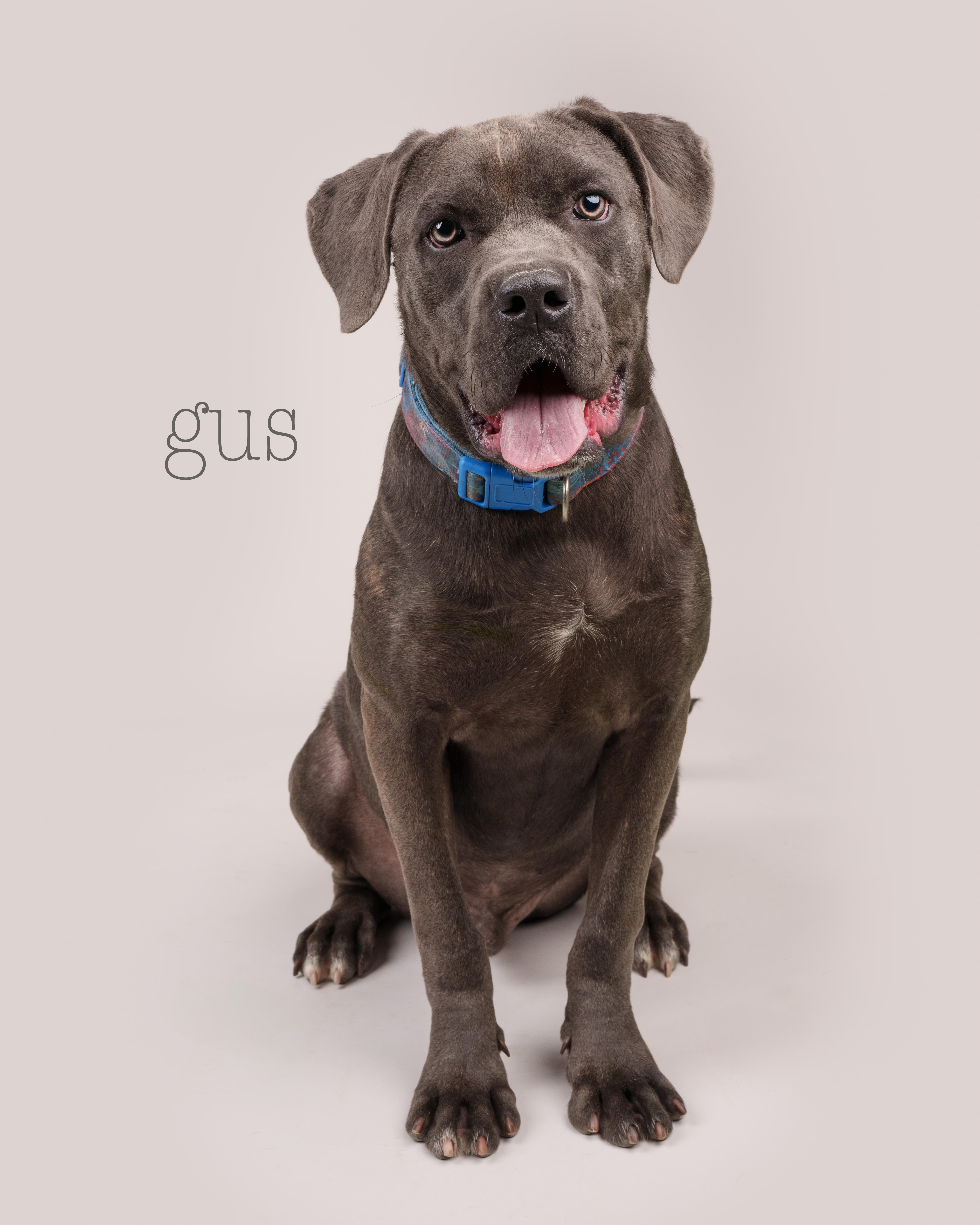 Gus