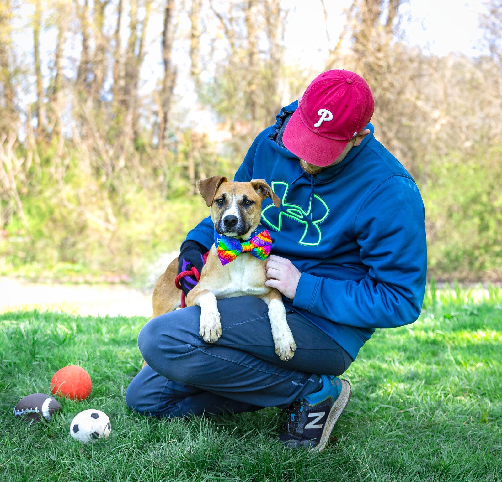 Enlarge Jerry, a Adoptable Hound in Coatesville, PA image 1/3