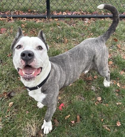 Betty Deville — thumbnail 2