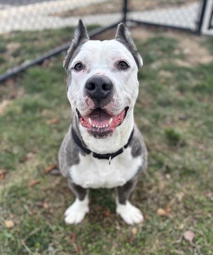 Betty Deville — thumbnail 3