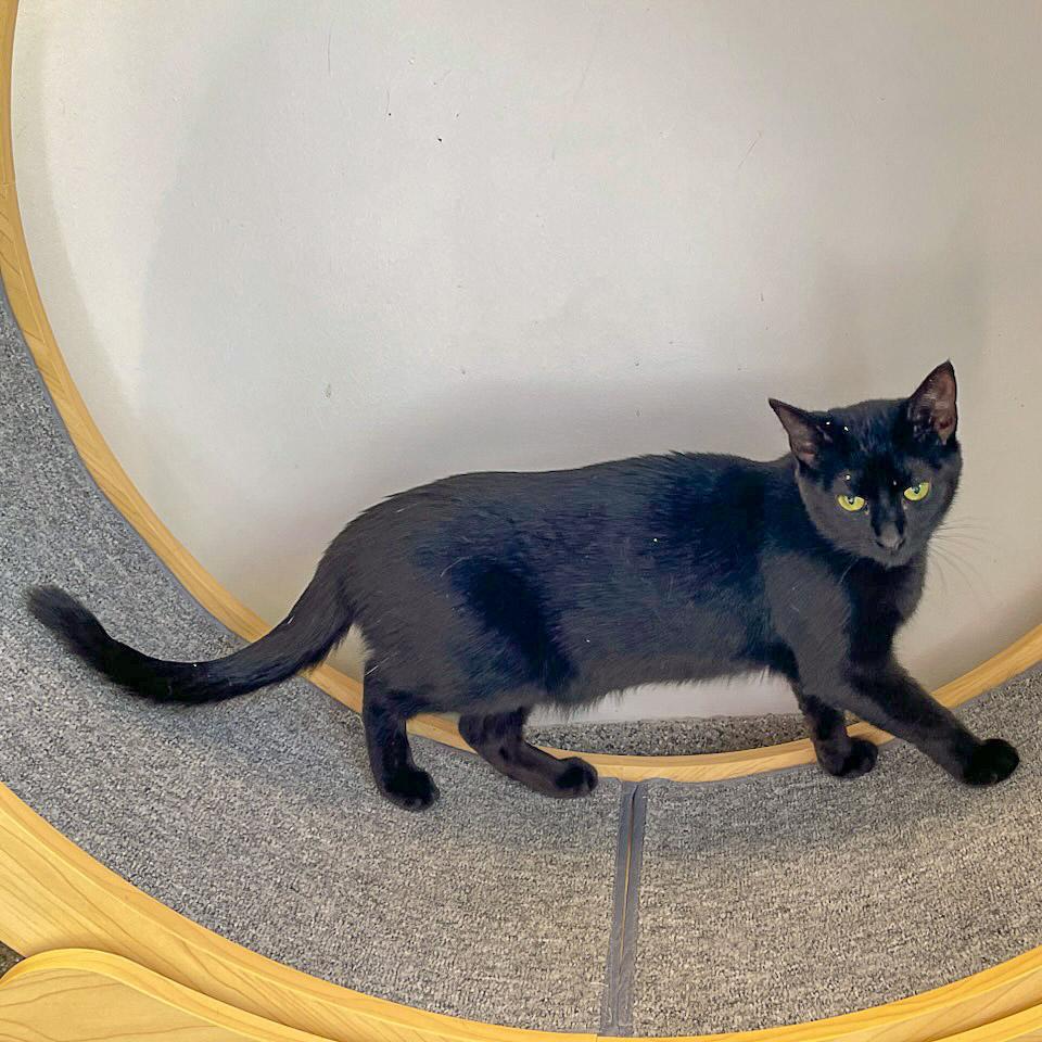 November thumbnail 5