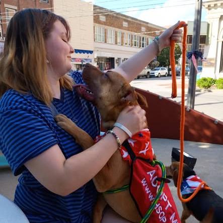 Flik, a Adoptable Mixed Breed in Parkersburg, WV image 5/5