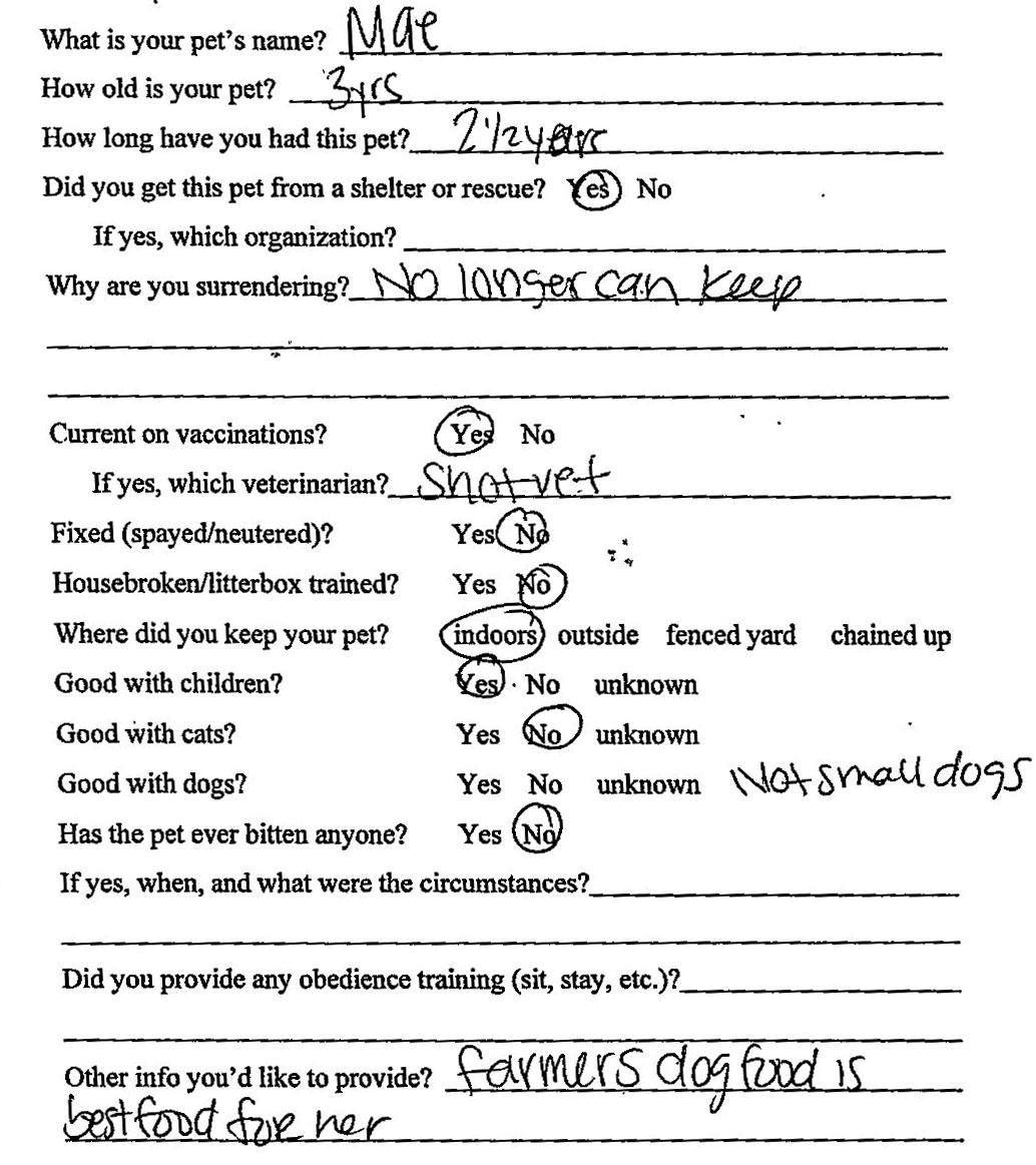 Enlarge Mae #22458, a ADOPTABLE mixed breed in Monroe, GA image 3/3