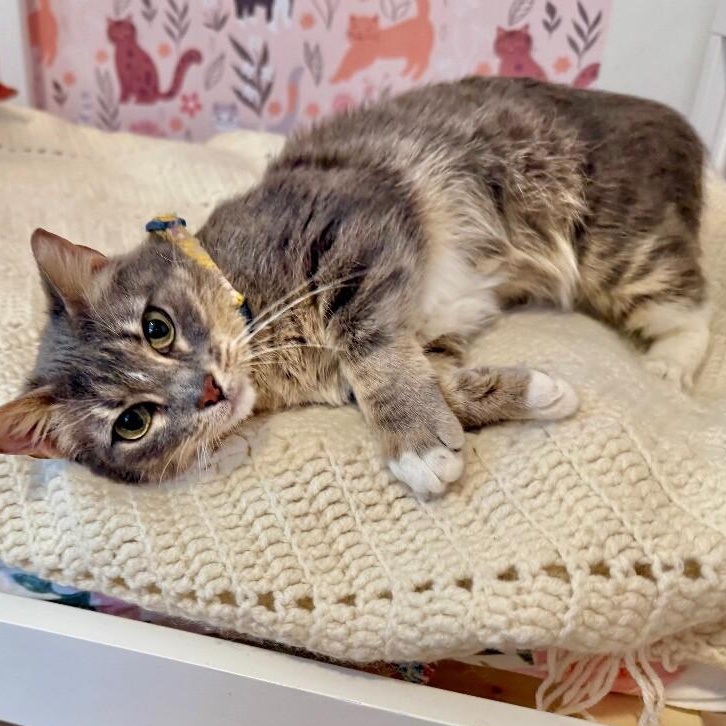 Kemah Texas — thumbnail 3