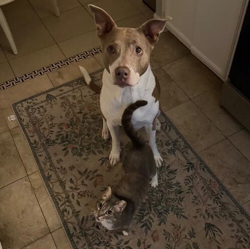 Kemah Texas — thumbnail 4