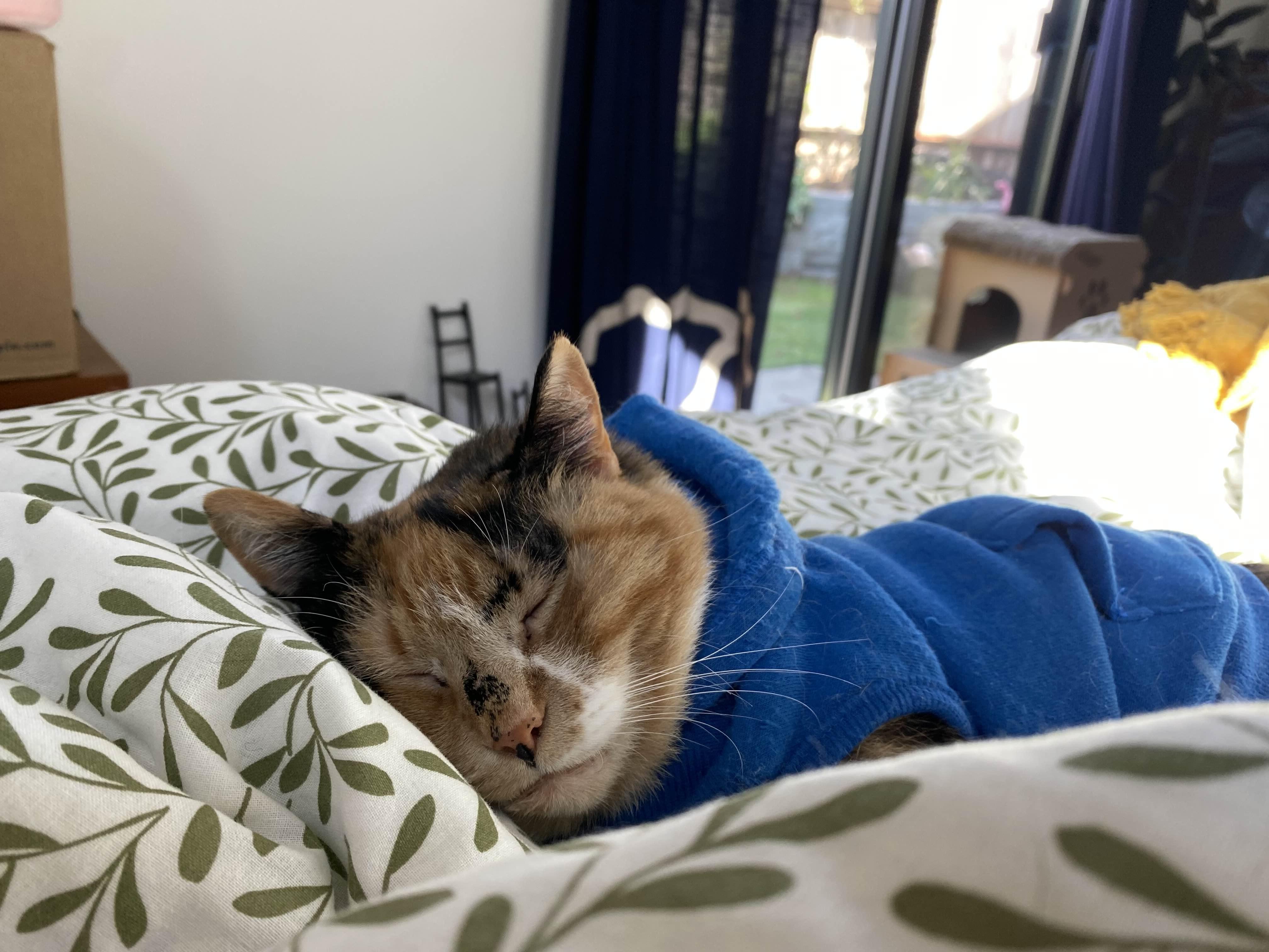 Kali