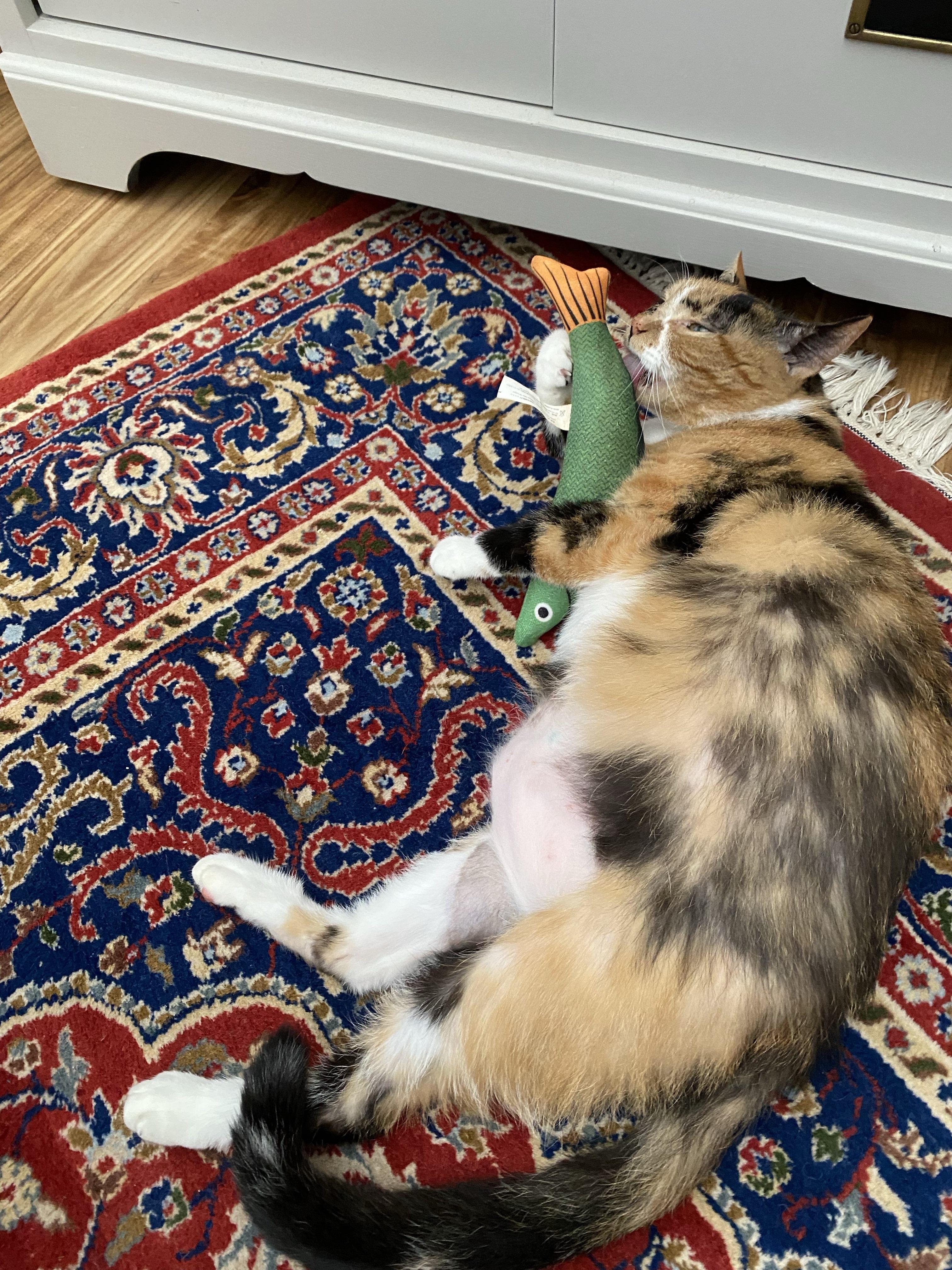 Kali