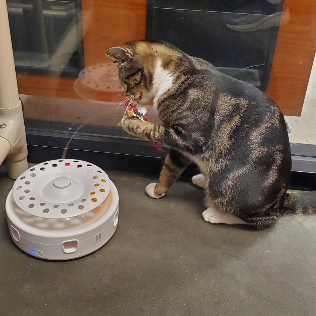 Jelly — thumbnail 2