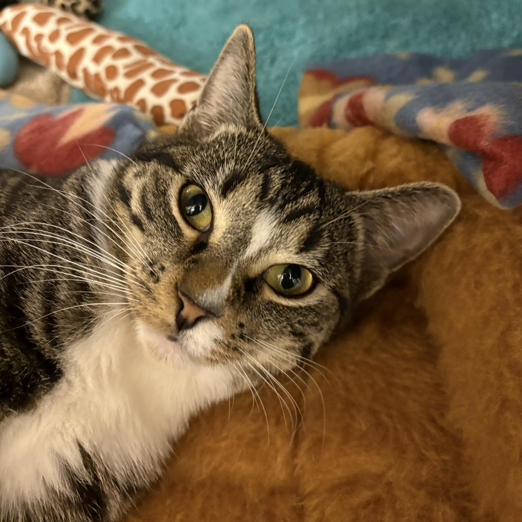 Jelly — thumbnail 4