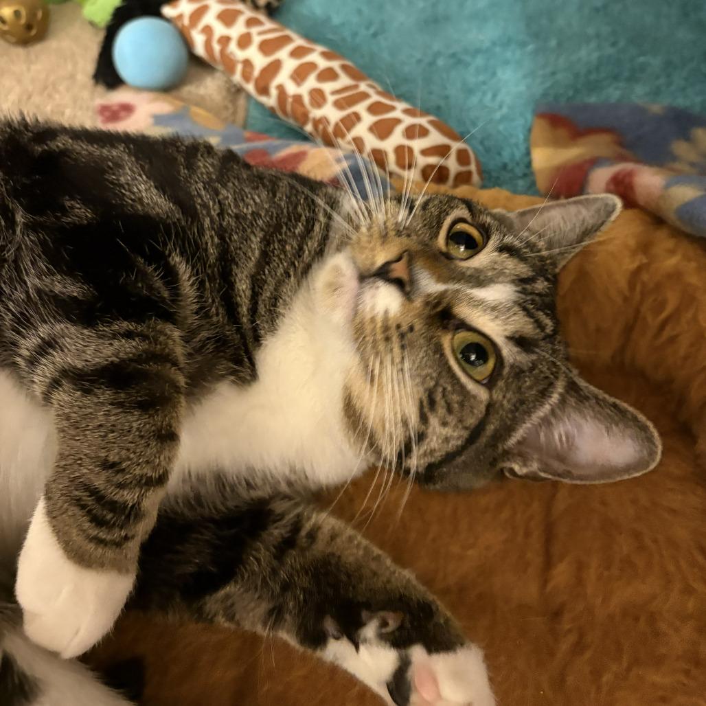 Jelly — thumbnail 6