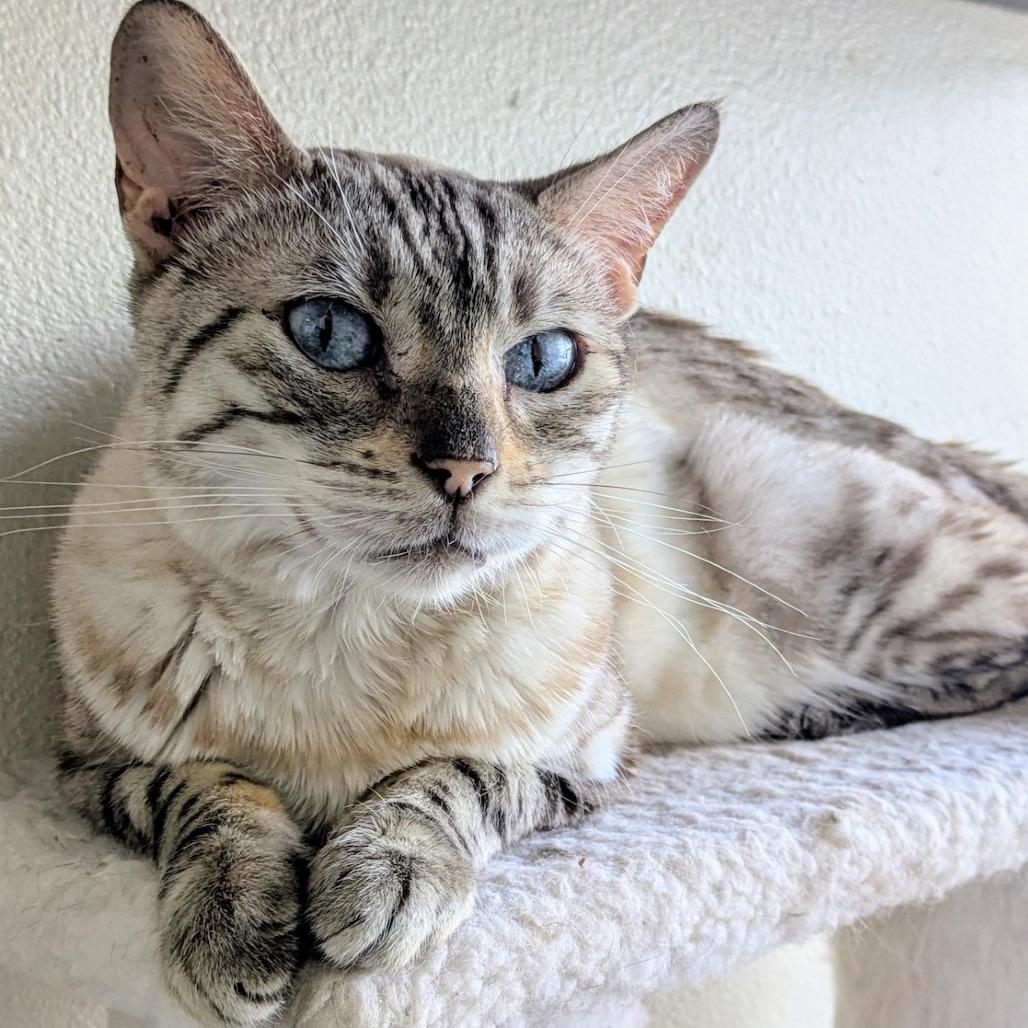 Aspen — thumbnail 3