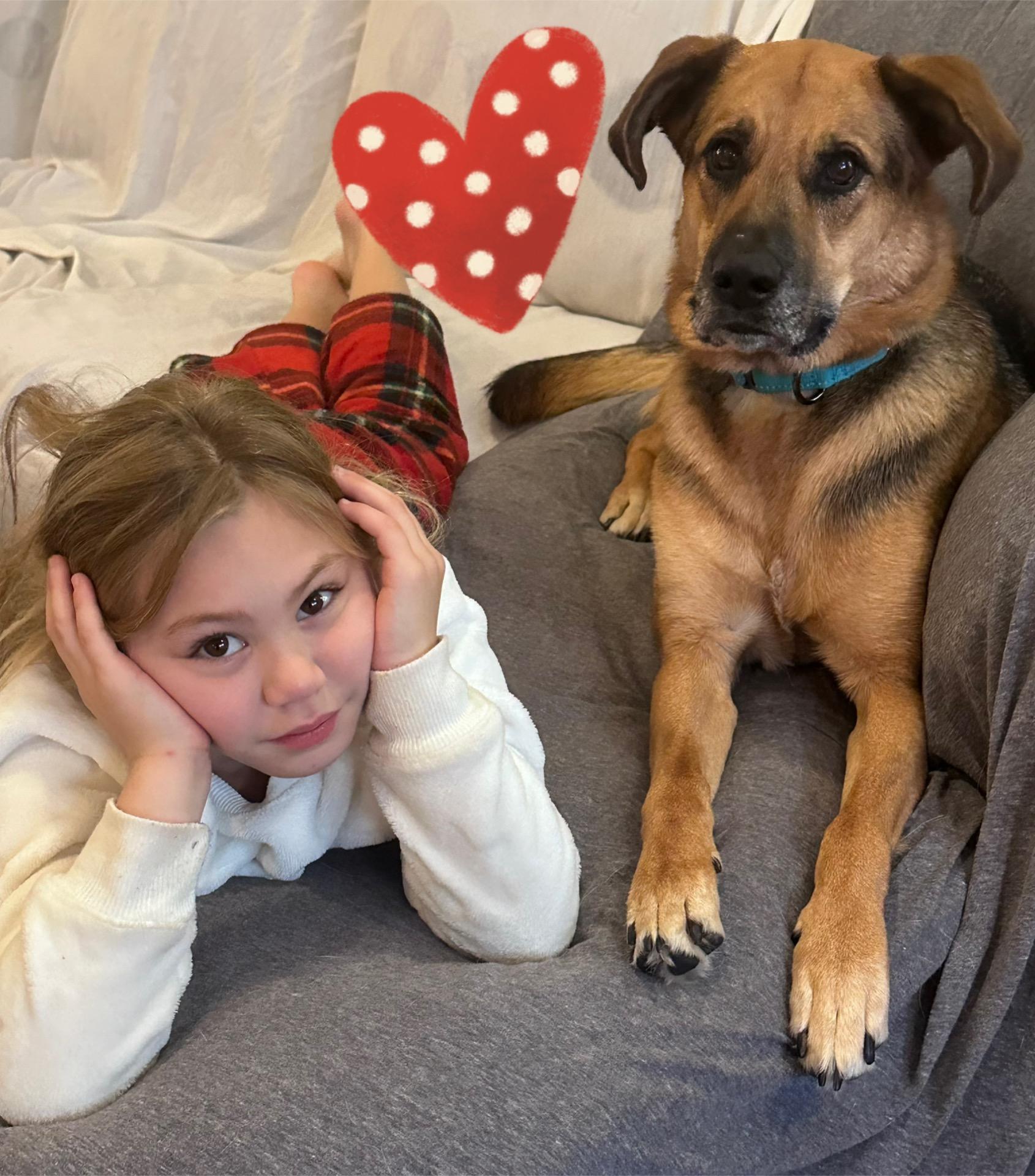 Enlarge Juniper, a Adopted mixed breed in Westlake, OH image 4/6