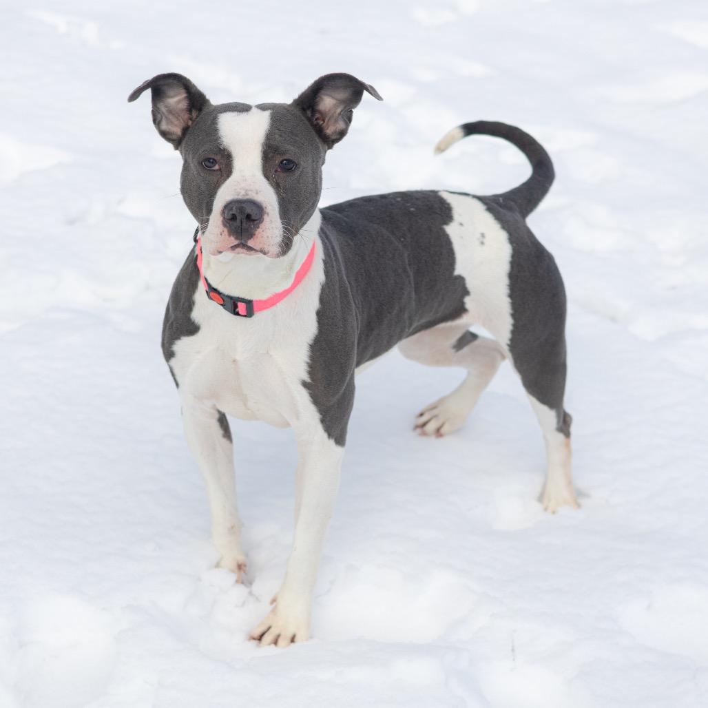 Lucy — thumbnail 2