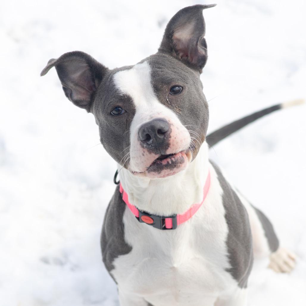 Lucy — thumbnail 3