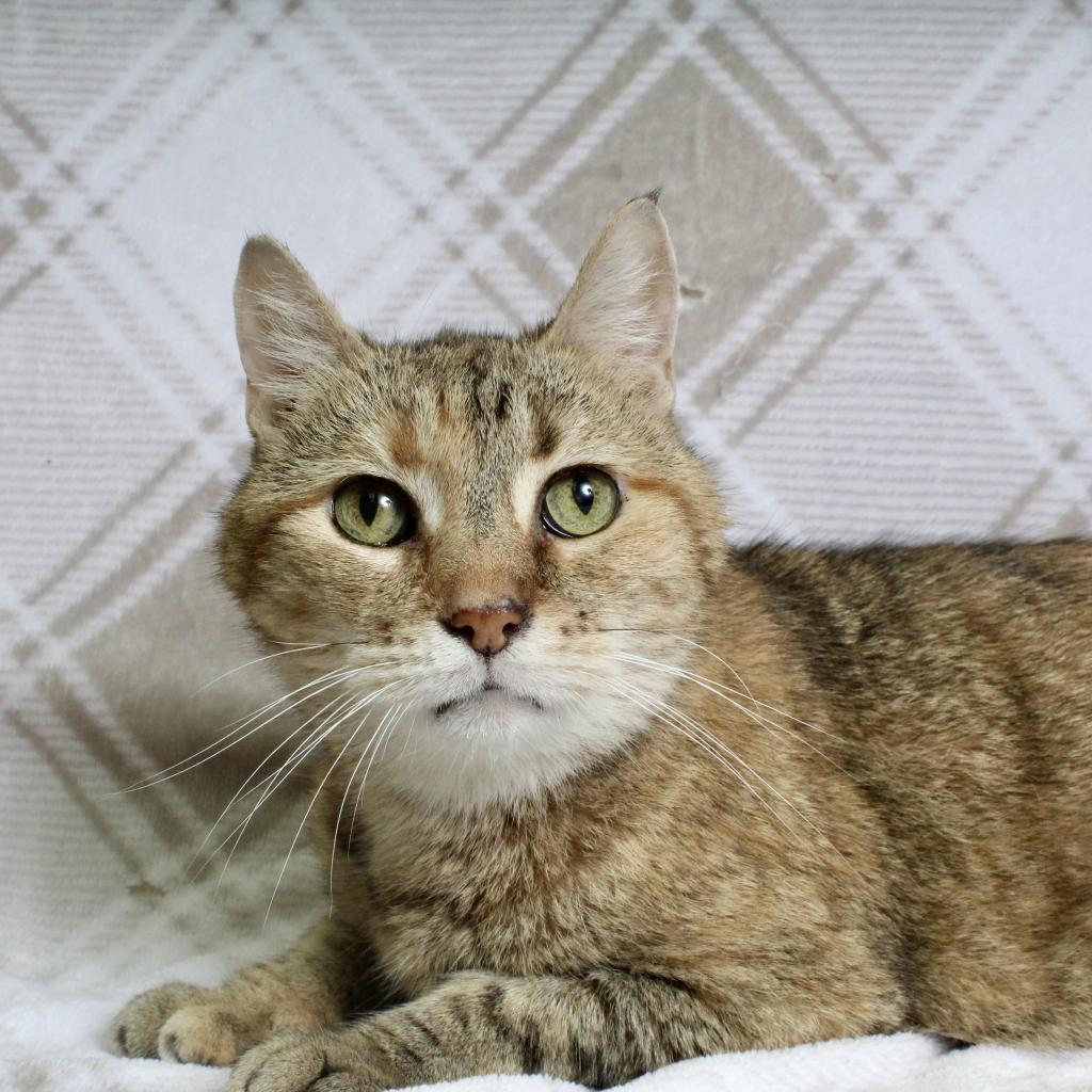 Little Bit — thumbnail 2