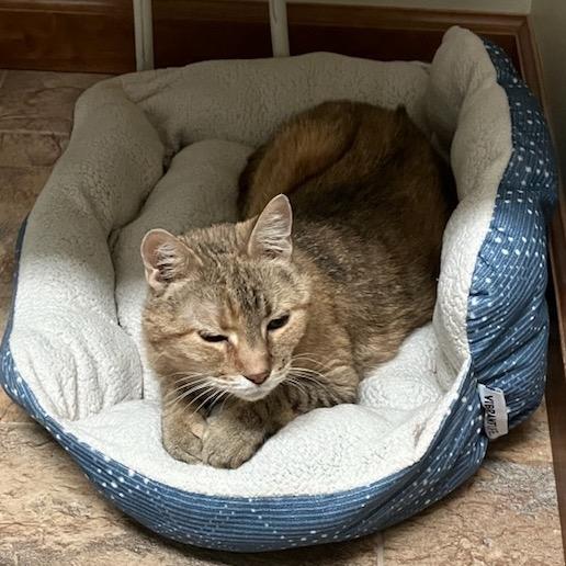 Little Bit — thumbnail 4