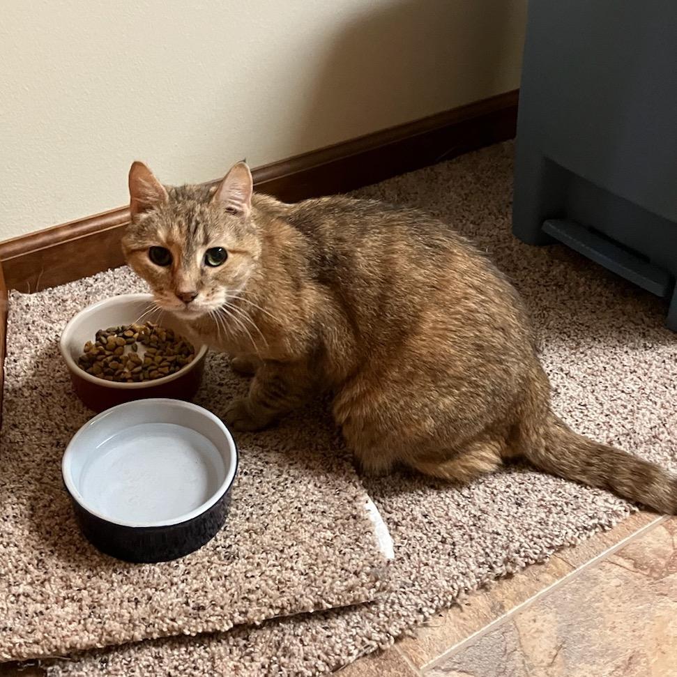 Little Bit — thumbnail 5