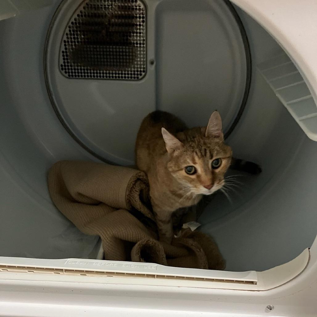 Little Bit — thumbnail 6