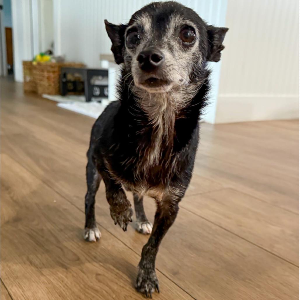 Nano 3957 — thumbnail 2