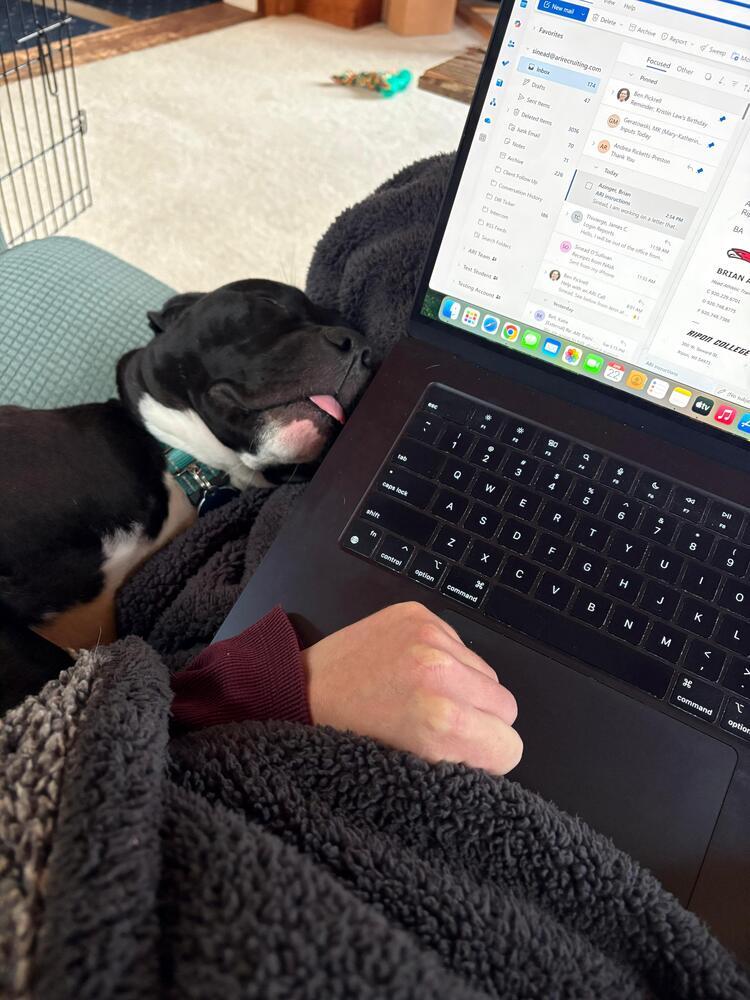 Enlarge Bridget (LOCATED AT BTDR HQ), a Adoptable mixed breed in Leverett, MA image 3/6