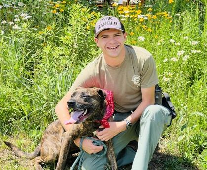 Paw Paw $25, Adoptable, Adult Male Mixed Breed & Mixed Breed.