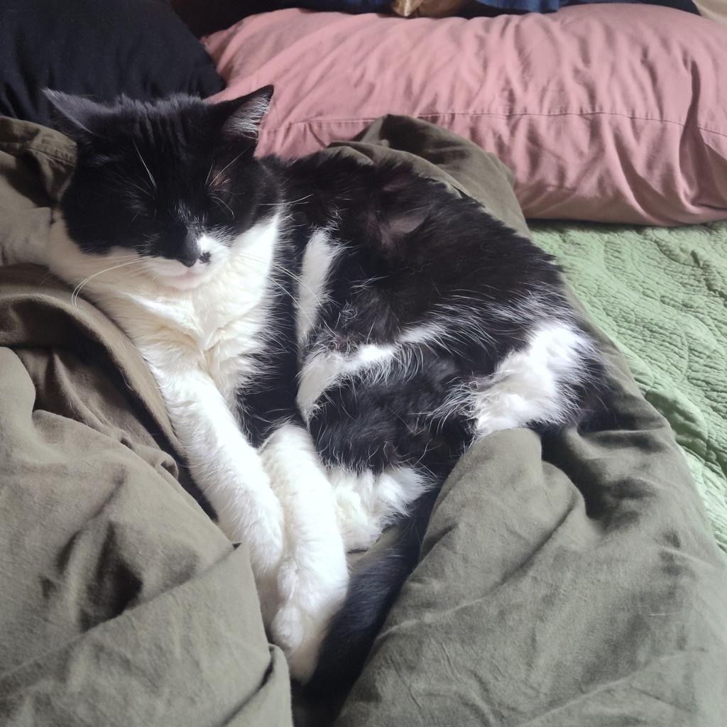 Sweetie — thumbnail 2