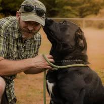 Enlarge Zeus, a Adoptable mixed breed in Tillamook, OR image 2/2