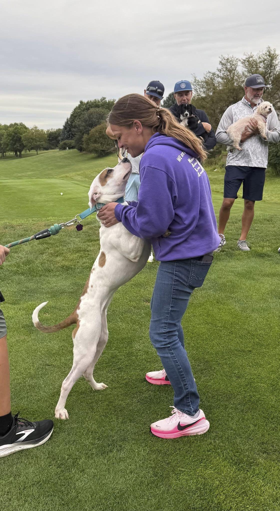 Enlarge Blossom, a Adoptable mixed breed in Omaha, NE image 6/6