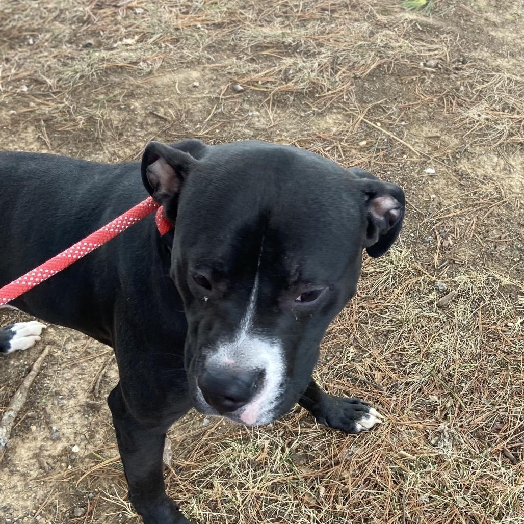 Milky Way thumbnail 2