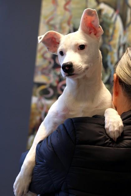 Fernando — thumbnail 2