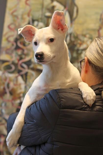 Fernando — thumbnail 3